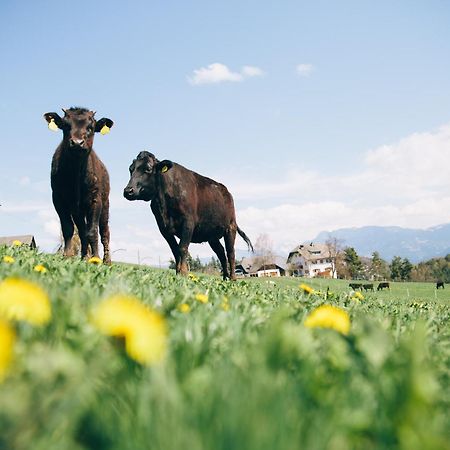 Alpin Farm Birke - Oberweidacherhof Коллальбо Экстерьер фото