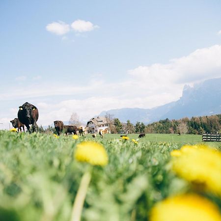 Alpin Farm Birke - Oberweidacherhof Коллальбо Экстерьер фото