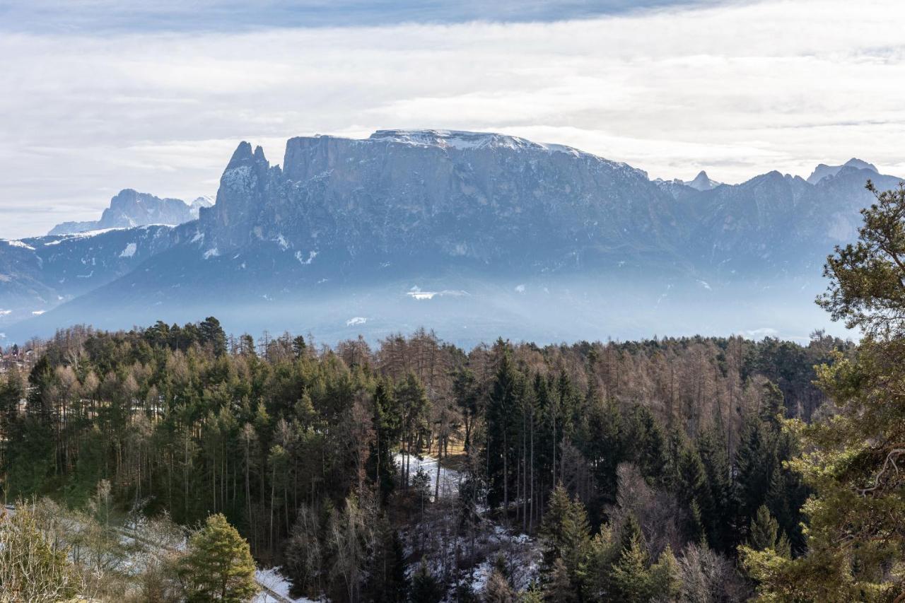 Alpin Farm Birke - Oberweidacherhof Коллальбо Экстерьер фото