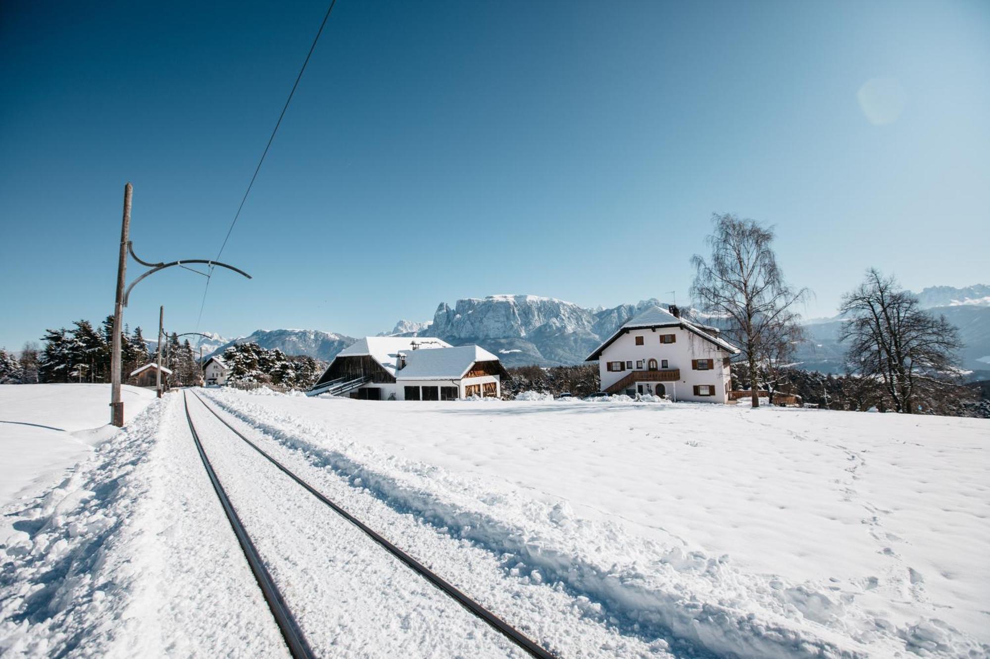 Alpin Farm Birke - Oberweidacherhof Коллальбо Экстерьер фото